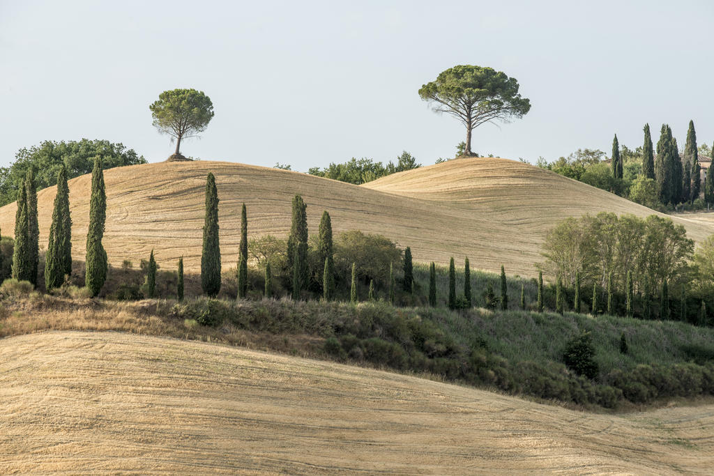 Villa Armena Relais Buonconvento Exterior photo
