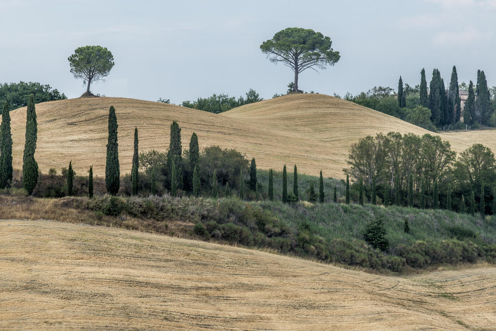 Villa Armena Relais Buonconvento Exterior photo