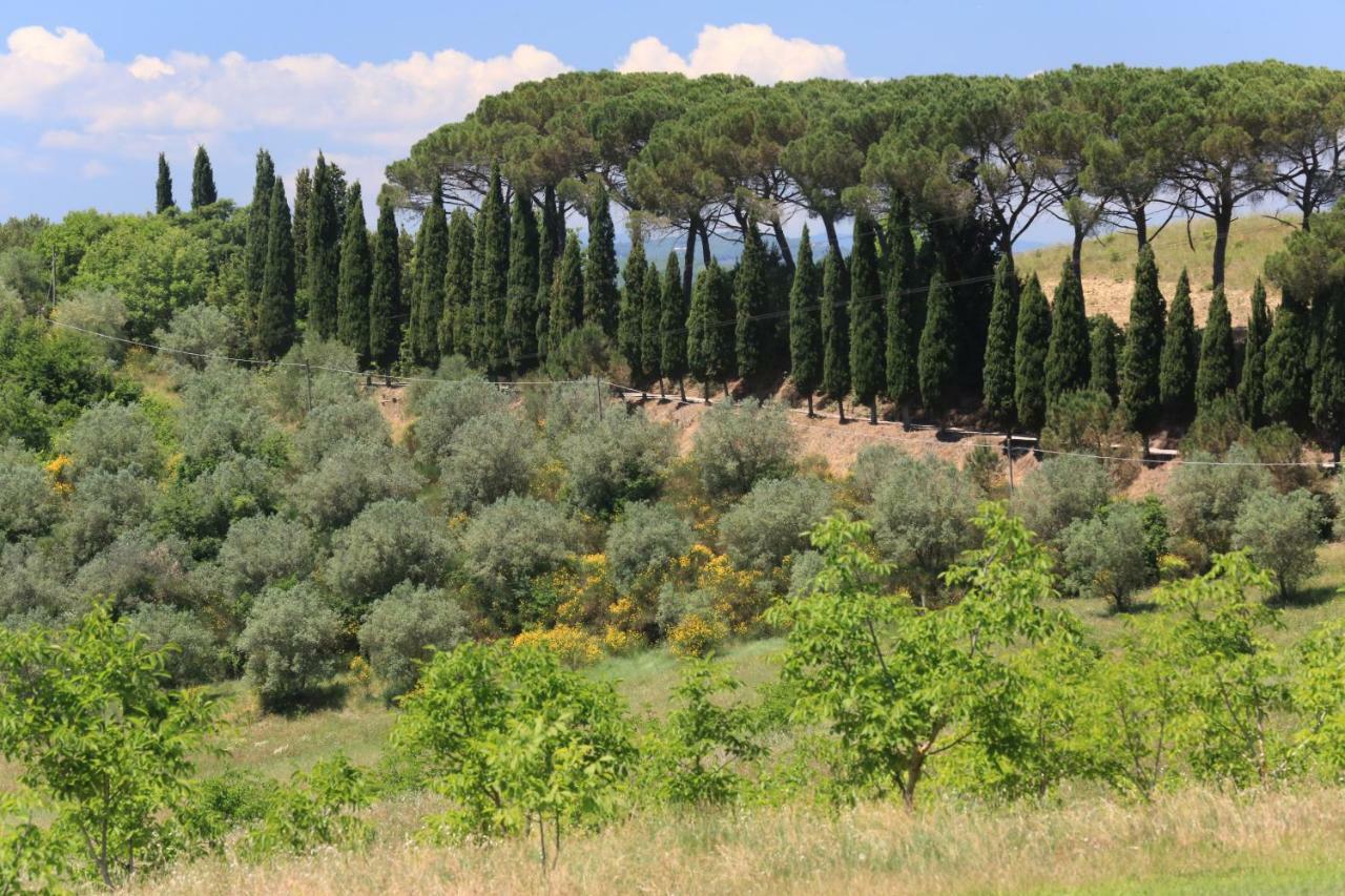 Villa Armena Relais Buonconvento Exterior photo