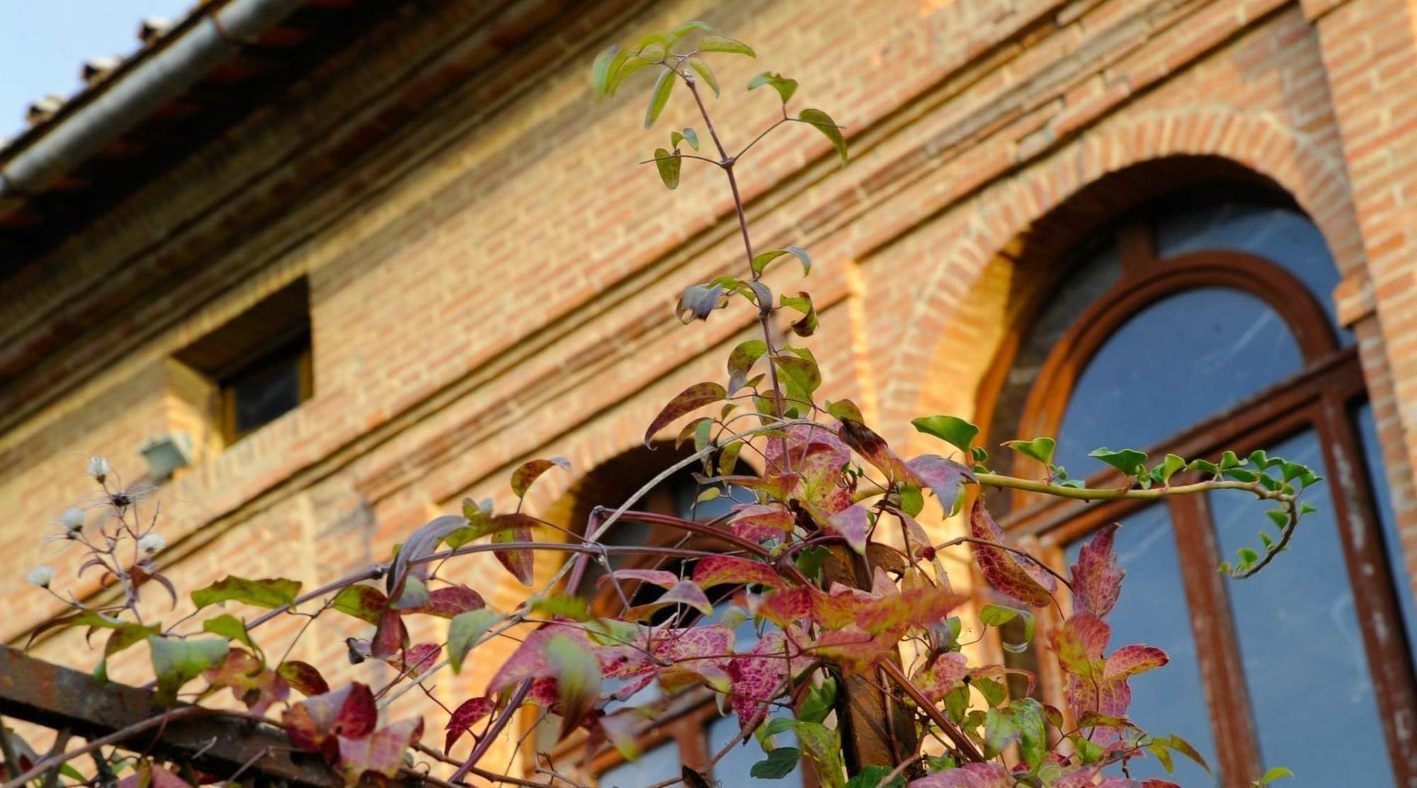 Villa Armena Relais Buonconvento Exterior photo